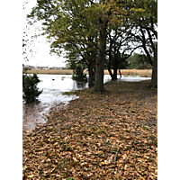 Norfolk mid November high tide and Storm event image